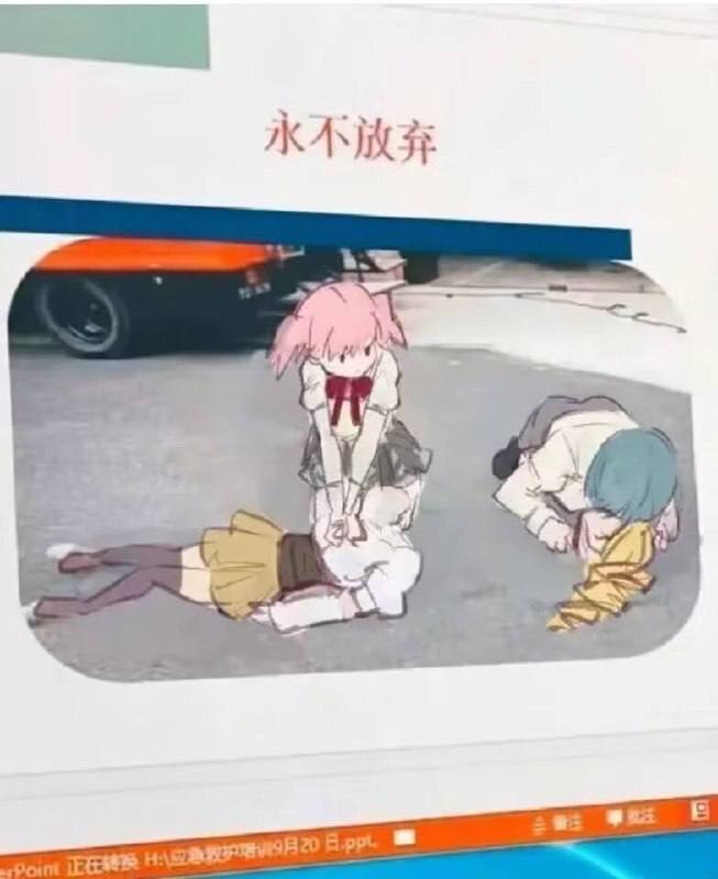 ？from 平壤卫视