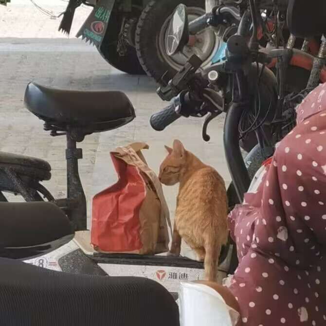 via 时月