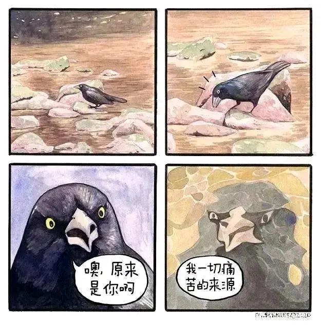 from LDLD 果冻 via LDLD 果冻from LDLD 果冻 via LDLD 果冻