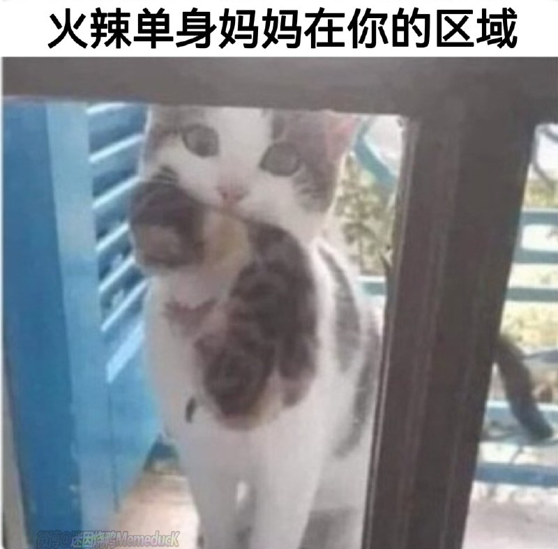 from 煎蛋无聊图