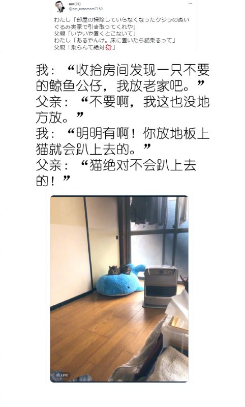 打脸来得太快就像龙卷风#猫猫打脸来得太快就像龙卷风#猫猫