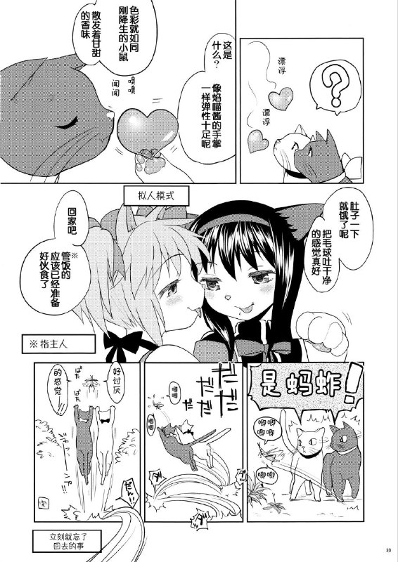 在猫猫的眼里自己是神#百合via LDLD 果冻在猫猫的眼里自己是神#百合via LDLD 果冻