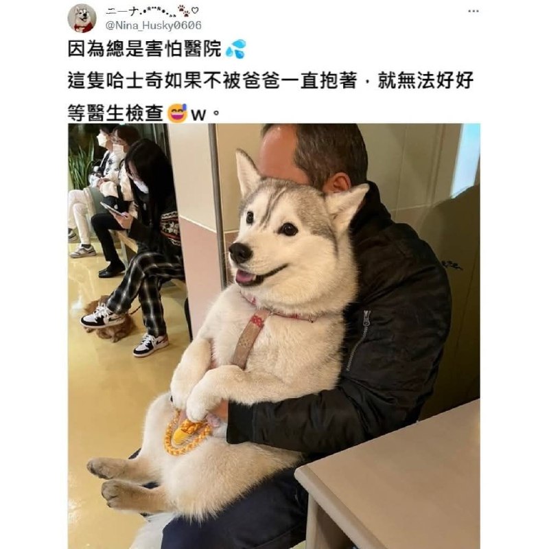 from 什麼都來點 via DECADE