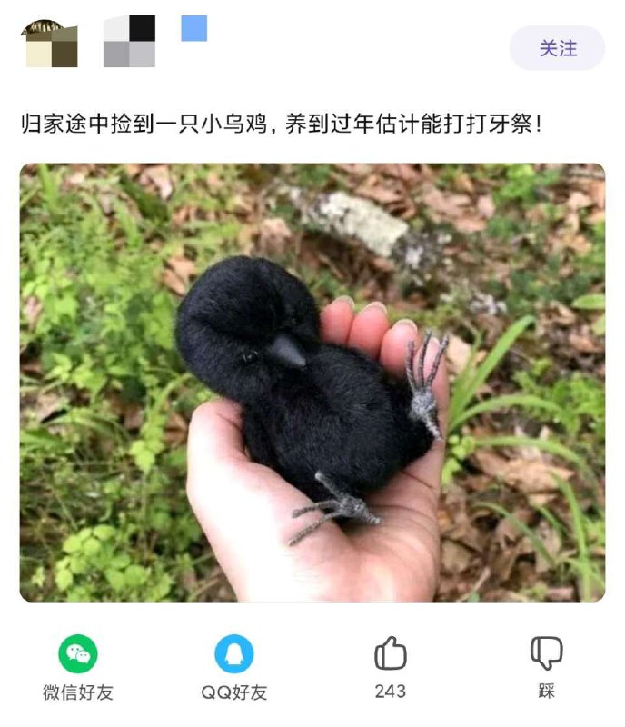一模一样一模一样
