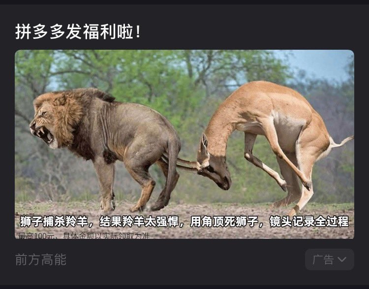 你管这叫福利？！