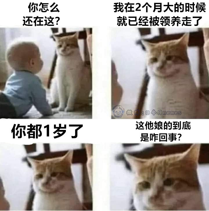 from 煎蛋无聊图
