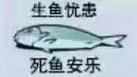 via 鸽咕鸠 | 自定义朋友数：1