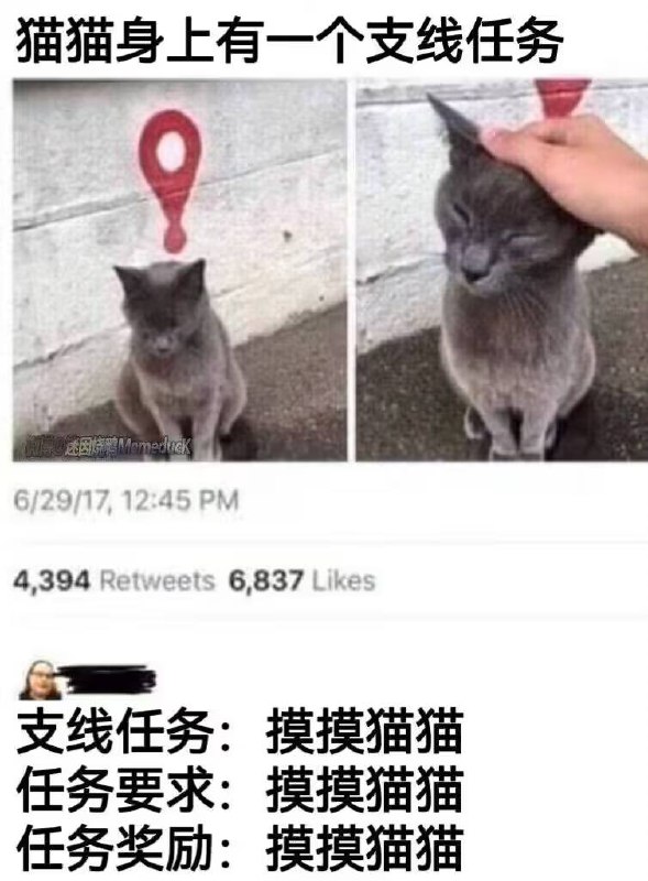 via 犯罪嫌疑人张某