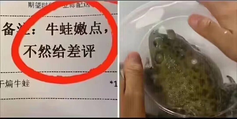 from 平壤卫视