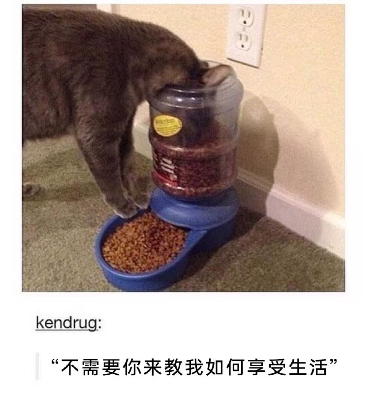 via 7号沙雕网友