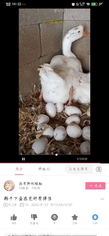 这TM都能冲？