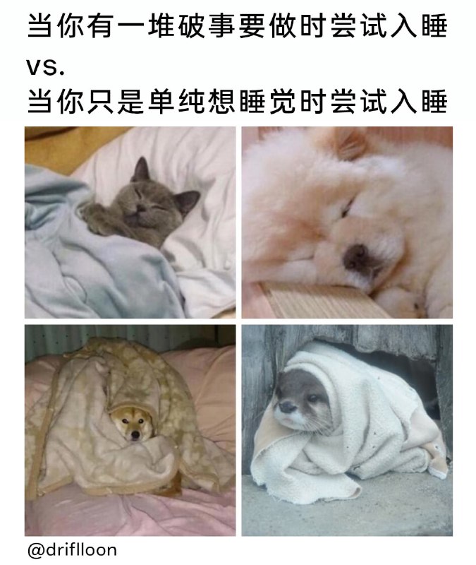 via 7号沙雕网友