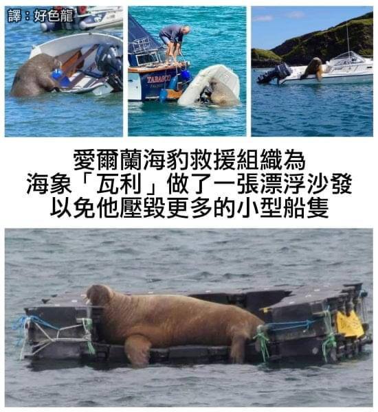 from 青島油鬼