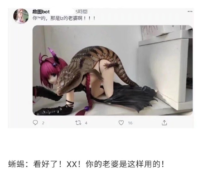 from 美图与沙雕