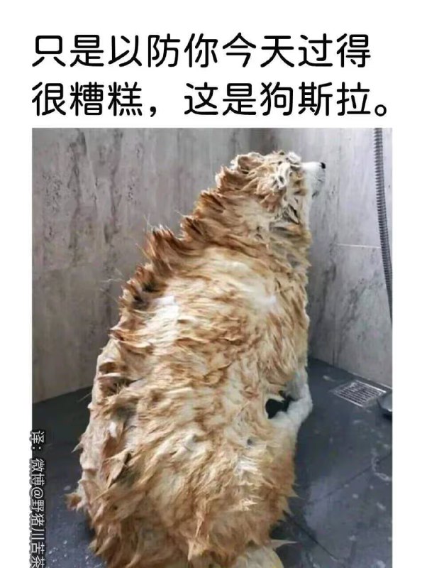 via 7号沙雕网友