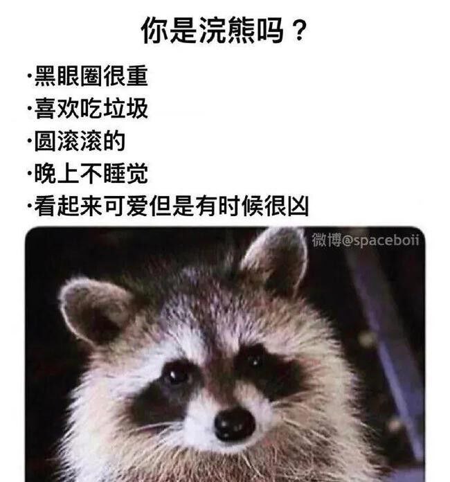 你是什么？你是什么？
