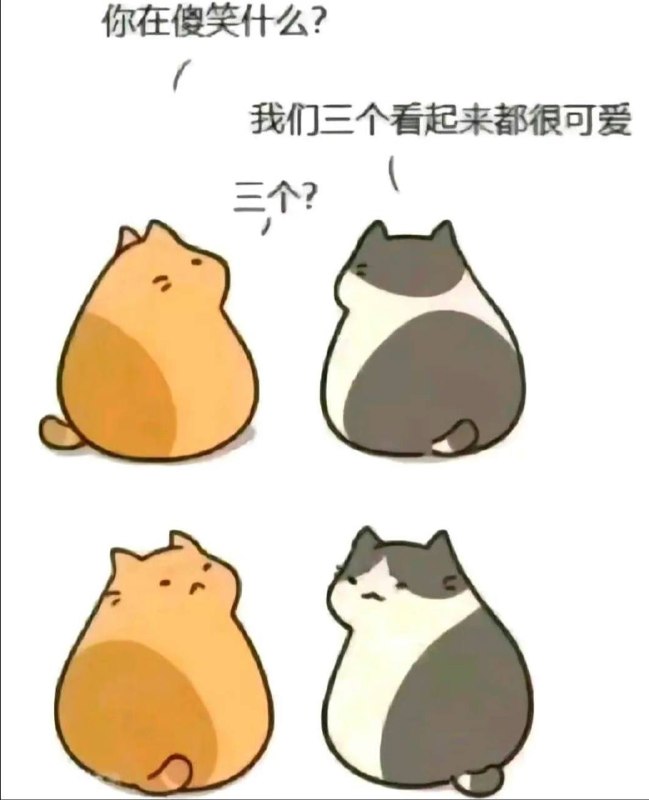 via 唐泽贵洋