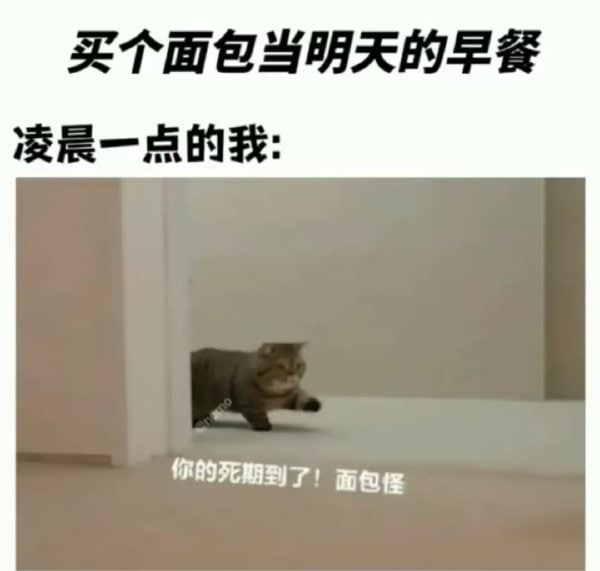 没有食物能在我家里活着过夜！