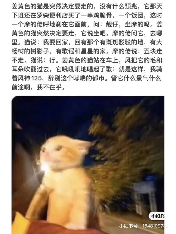 via 李某 犯罪嫌疑人