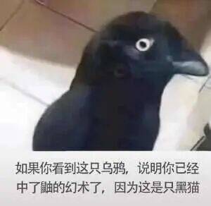 via cy