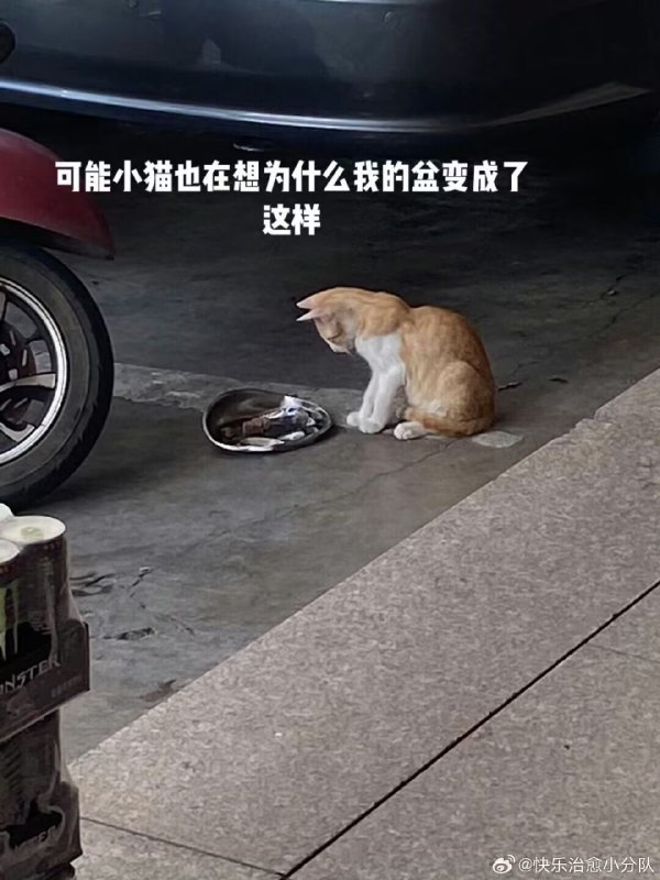 via 好像吃饭了from 心惊报 🪑via 好像吃饭了from 心惊报 🪑