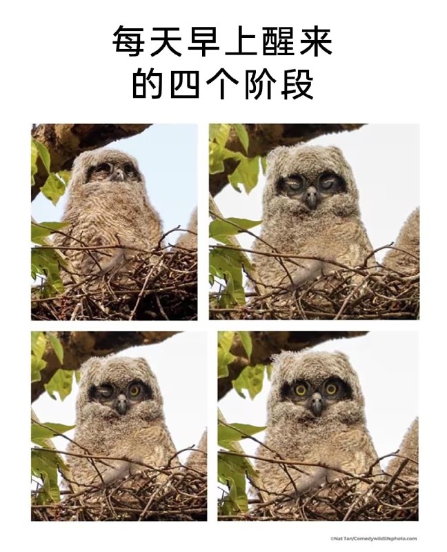 via 7号沙雕网友