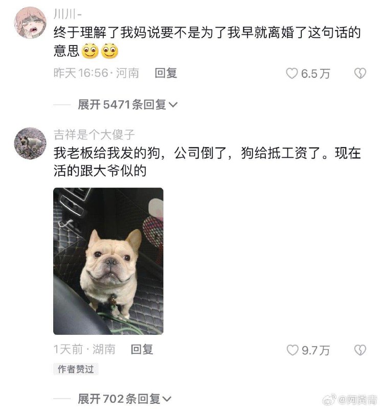 公司给员工每人一只狗 好歹毒的公司公司给员工每人一只狗 好歹毒的公司