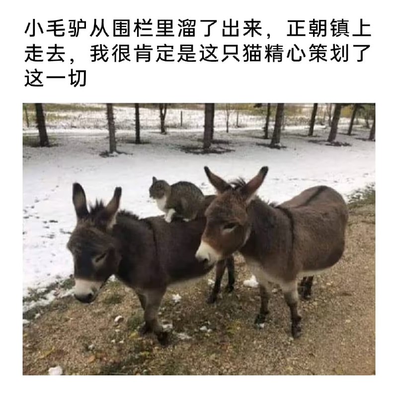via 7号沙雕网友