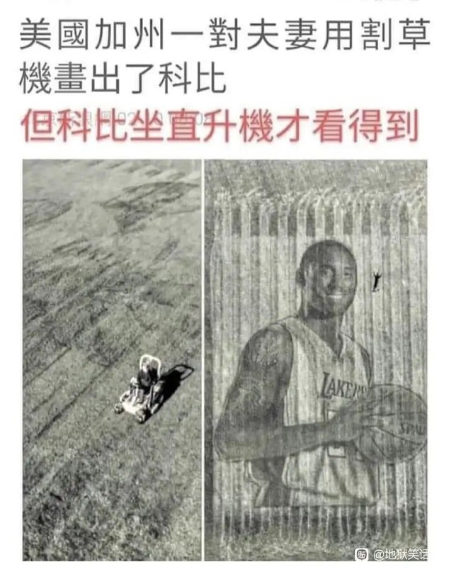 from 平壤卫视