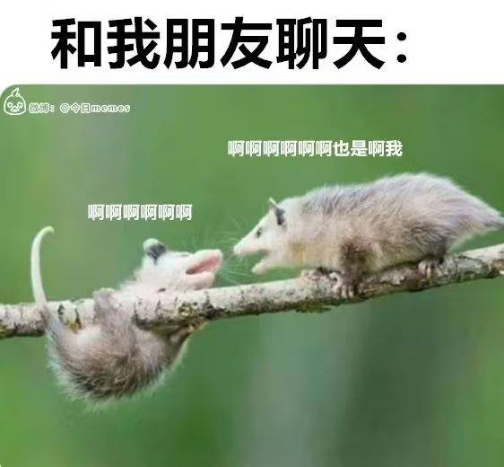 from meme via G 802