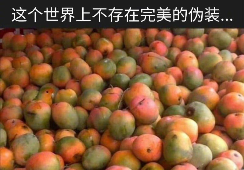 🦜via 张某 犯罪嫌疑人🦜via 张某 犯罪嫌疑人