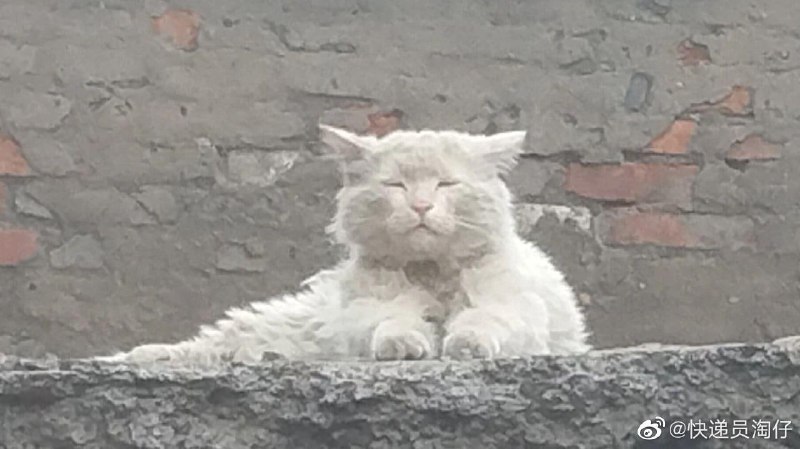 一看就写满了故事一看就写满了故事