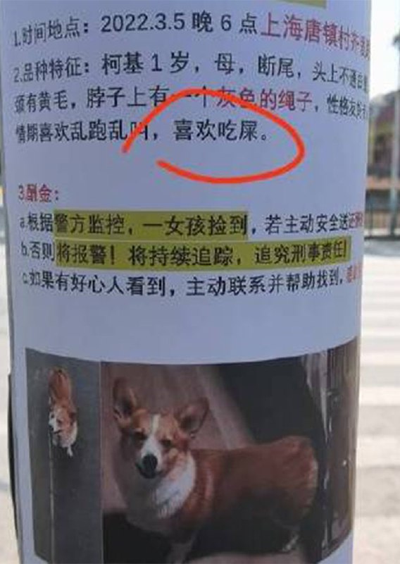狗子：我不要面子吗from 平壤卫视 via 呀