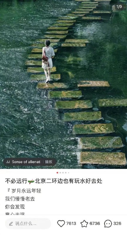 理想与现实from 车速过快🚦开车娱乐搞笑沙雕理想与现实from 车速过快🚦开车娱乐搞笑沙雕