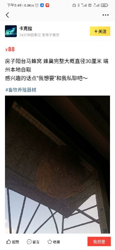 马蜂窝本地自取