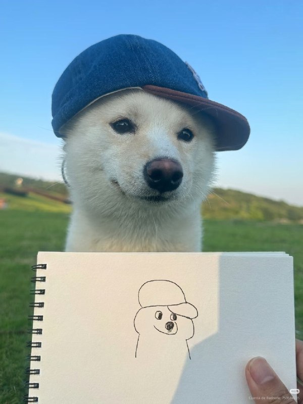 HeHeDa: 