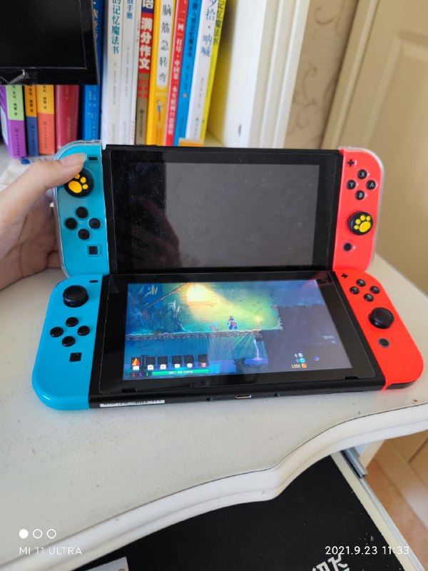 3DS XXXLvia 5v2m24vb