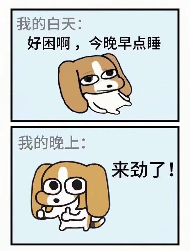 真实的我（