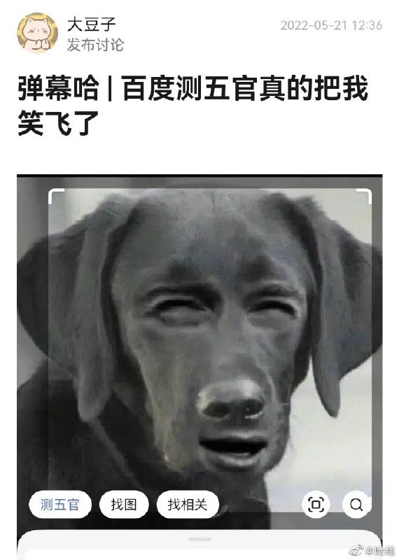 via 夏蜜柑via 夏蜜柑