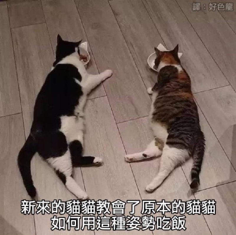 via kkugas