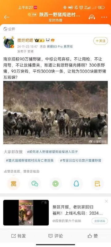 图片视频无关 注意低智配乐via Shio图片视频无关 注意低智配乐via Shio