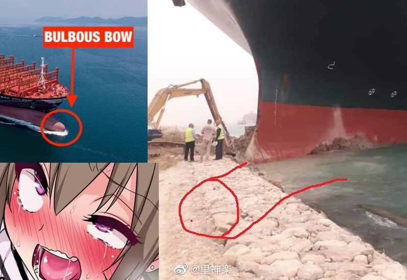 #nsfw  在病例上,这种病症一般叫什么