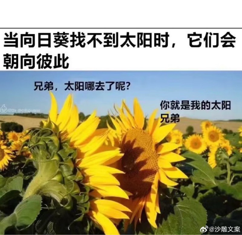 from ㅤ
