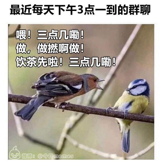 from Dou Bi Tu