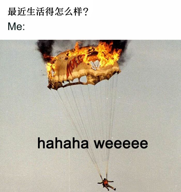 via (=^-ω-^=) ㅤ