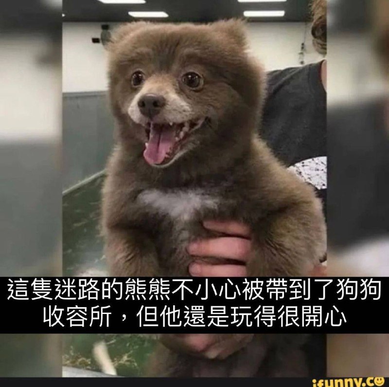 玩得开心最重要
