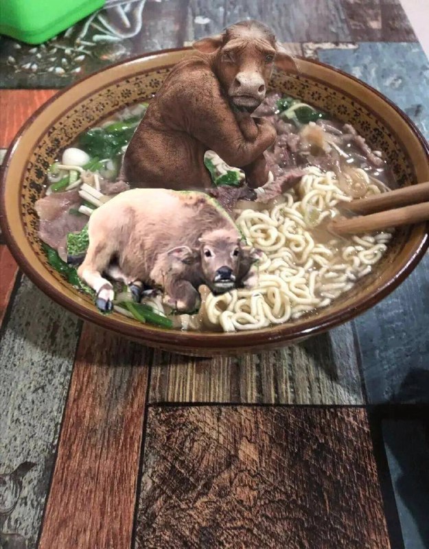 from 伟 阿from 伟 阿