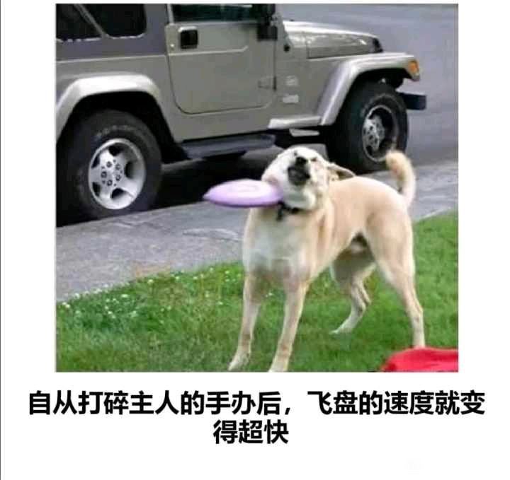 来点纯正地狱笑话via efsg来点纯正地狱笑话via efsg