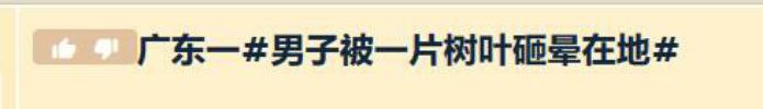 🍀SFWvia 米坂🍀SFWvia 米坂