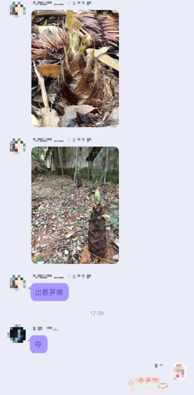 二手群也卷嘛……